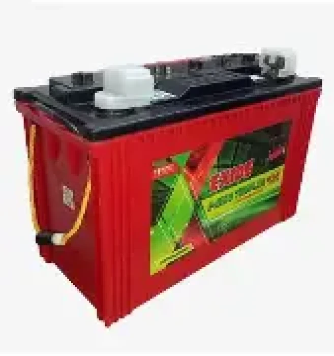 ERTB 135L (1 YEAR)